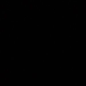 Meet your Posher, Eugene